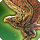 Rose lanner icon1.png