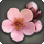 Peach blossoms icon1.png