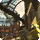 ShB sightseeing log 2 icon.png