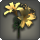 Orange brightlilies icon1.png