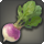 Steppe radish icon1.png