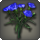 Blue carnations icon1.png