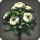 White oldroses icon1.png