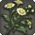 Light gerbera icon1.png