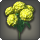 Yellow hydrangeas icon1.png