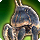 Big shell icon1.png