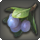 Doman plum icon1.png