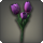 Purple tulips icon1.png