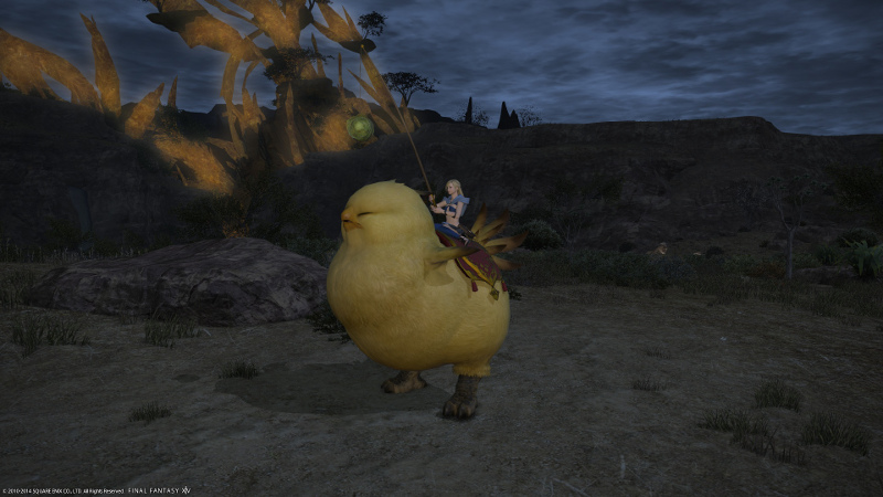 Fat chocobo11.jpg