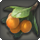 Apricot icon1.png