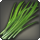 Green leek icon1.png