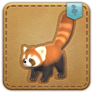 Lesser panda icon3.png