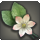 Splendid trillium icon1.png