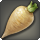 Daikon radish icon1.png