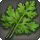 Coriander icon1.png