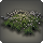 Oriental grass plot icon1.png