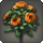 Orange oldroses icon1.png