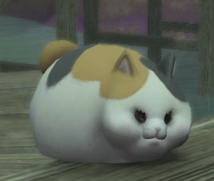 Fat cat1.jpg