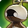 Island mandragora icon2.png