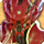 Nero tol scaeva card icon1.png