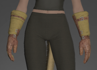 Gryphonskin Bracers front.png