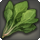 Cieldalaes spinach icon1.png