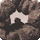 HW sightseeing log 28 icon.png