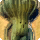 Gigantender card icon1.png