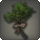 Simple treehouse icon1.png