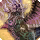 Lunar bahamut card icon1.png