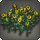 Sunflower plot icon1.png