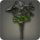 Black byregotia icon1.png