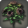 Black oldroses icon1.png