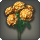 Orange hydrangeas icon1.png