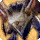 Batsquatch card icon1.png