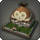 Paissa house wall icon1.png