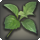 Fragrant steppe herb icon1.png