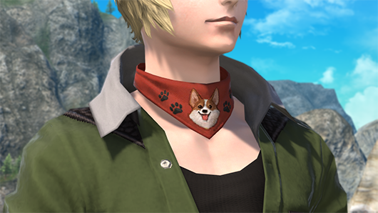 Corgi scarf img1.png