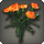 Orange carnations icon1.png