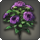 Purple oldroses icon1.png