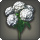 White hydrangeas icon1.png