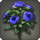 Blue oldroses icon1.png