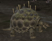 Giant Tortoise.png