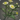 Definitely unclassified plant icon1.png