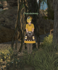 Chocobokeep Forgotten Springs.png