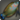 Garjana wrasse icon1.png