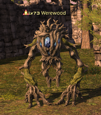 Werewood.png