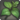 Lime basil icon1.png