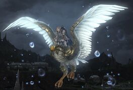 White lanner1.jpg