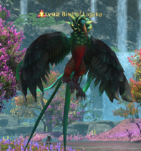 Bird of ligaka.png